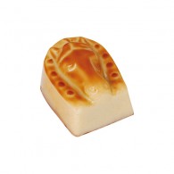 Horse Face- White Marble Chocolate with Hazelnut Praline